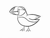 Puffin Coloring Drawing Popular Getdrawings Coloringhome sketch template