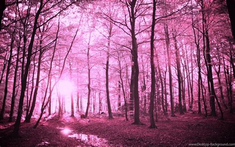 pink forest google search pink forest forest wallpaper wallpaper