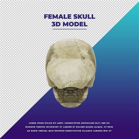 premium psd female skull