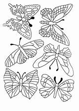 Papillons Hugolescargot Vlinders Papillon Colorier Vogels Vlinder Bloemen Coloriages Volwassen Volwassenen Insectes источник Bezoeken Topkleurplaat Voir sketch template