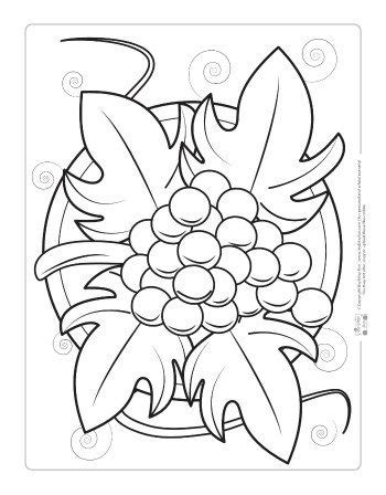 coloring page  grapes  leaves   center  top   plate