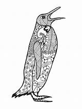 Penguin Tattoo Sketch Zentangle Stylized Shirt Vector Hand Animal Coloring sketch template