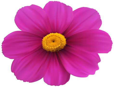 cosmos flower clipart 20 free cliparts download images