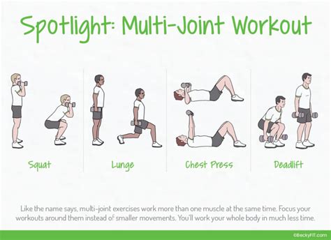 multi joint exercises spotlight becky conti fitness