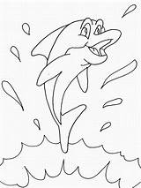 Dolfijn Leukekleurplaten Kleur Dolfijnen sketch template