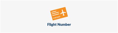 flight numbers vroomvroomvroom