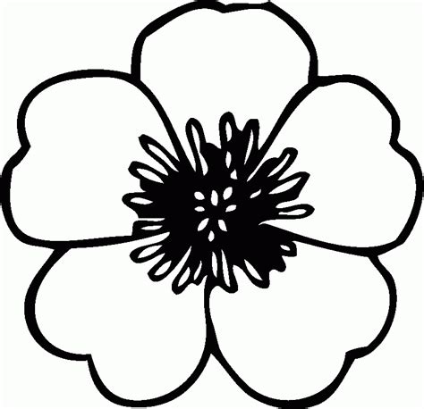 flower coloring pages clip art library