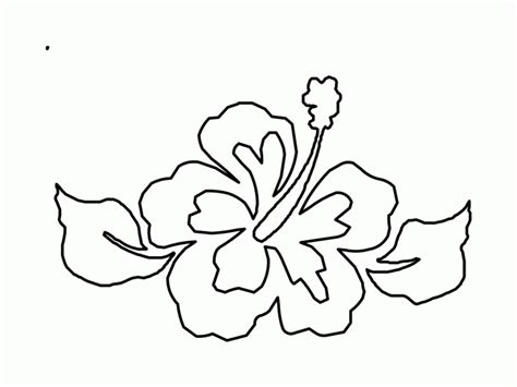 tropical flowers coloring pages  kids   adults coloring