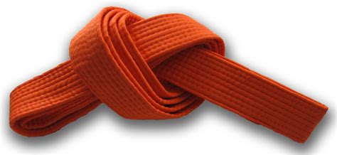 Six Sigma Orange Belt And Why You Need One 6sigma