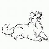 Shepherd Australian Coloring Pages Dog Lineart Drawing Cattle Printable Color Popular Library Clip Getdrawings Coloringhome Print Deviantart Getcolorings Related sketch template