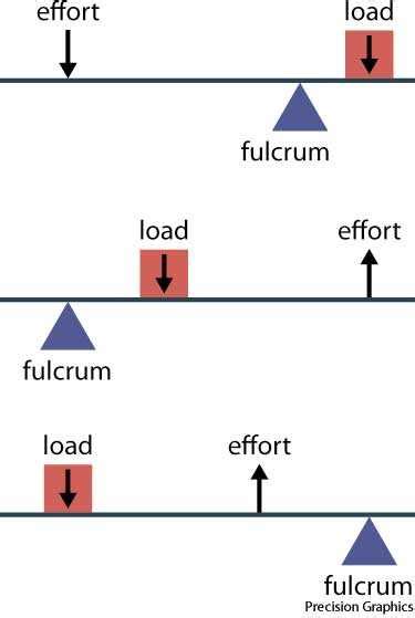 fulcrum dictionary definition fulcrum defined