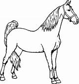 Horse Coloring Pages Printable Horseman Colouring Horses Color Print Sheets Hors Getcolorings Spirit Headless Getdrawings Miniature Clipartmag Clipart sketch template