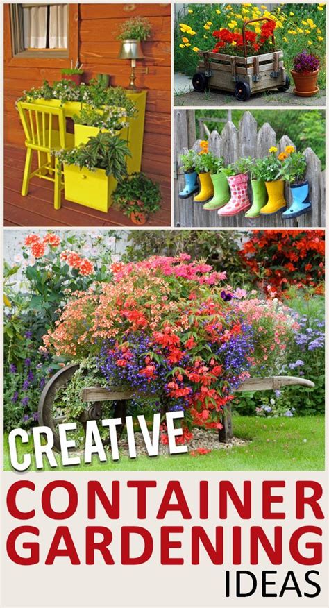 unique ways to use potted plants great ideas tips and projects for
