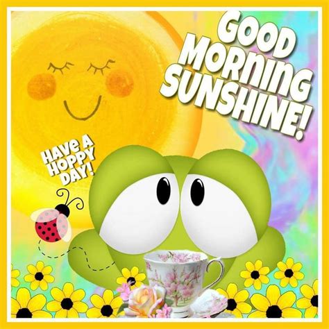 Have A Hoppy Day Good Morning Sunshine Pictures Photos And Images