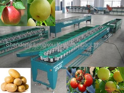 vegetable sorting machine productschina vegetable sorting machine supplier