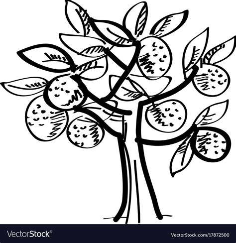 orange tree clip art black  white northern mockingbird sich auf