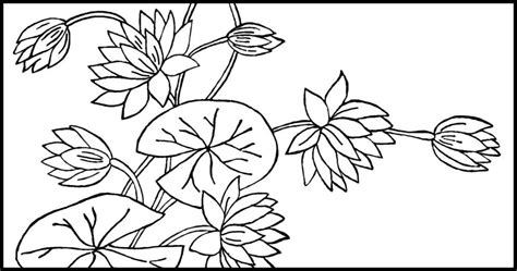 flower coloring pages karens whimsy