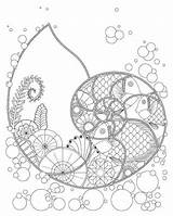Coloring Pages Shell Ocean Mandala Nautilus Fish Fibonacci Plants Fantasy Etsy Printable Getdrawings Adult Pt Google sketch template