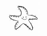 Starfish Coloring Smiling Color sketch template