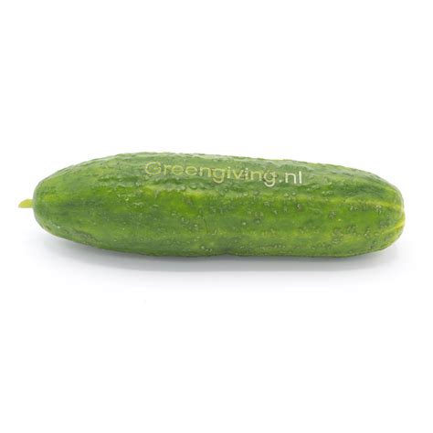 snack komkommer greengivingnl