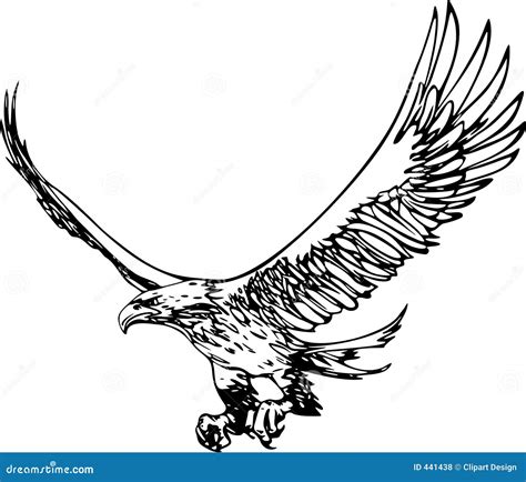 flying eagle royalty  stock  image