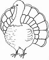 Turkey Coloring Pages Printable Kids Turkeys Color Thanksgiving Sheet Print Templates sketch template