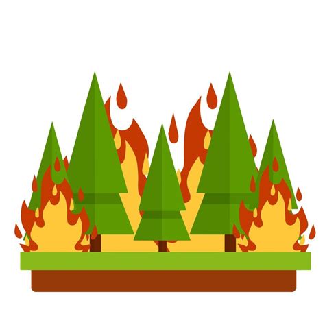 forest fire natural disaster woodland problems careless handling  fire dangerous situation
