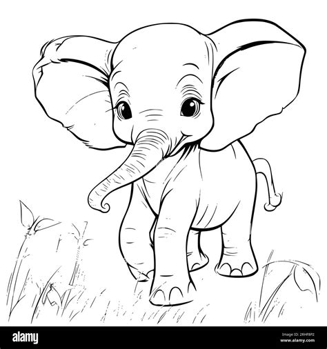 baby elephant coloring page drawing  kids stock vector image art