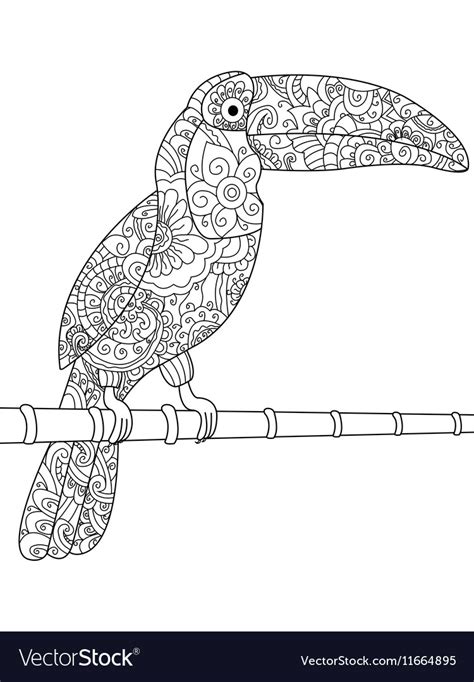 toucan coloring book  adults royalty  vector image