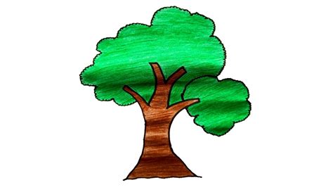 draw  tree  easy youtube