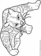 Ocelot Coloring Pages Minecraft Getcolorings Colouring Getdrawings Printable sketch template