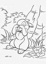 Bunnies Coloring Pages Disney sketch template