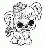 Littlest Lps Colorare Hund Krone Websincloud Printen Activites Ausdrucken Pinypon Kleiner Malvorlagen Disegni Dessins Kinderen Actividades Actividadesimpressao sketch template