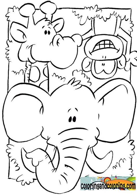 jungle animals coloring pages  kids coloring  coloring zoo