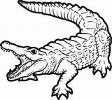 Crocodile Coloring Pages Alligator Getdrawings Nile sketch template