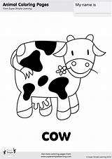 Cow Coloring Pages Simple Farm Animals Super Animal Worksheets Printables Kindergarten Flashcards Flashcard Songs Learning Choose Board sketch template