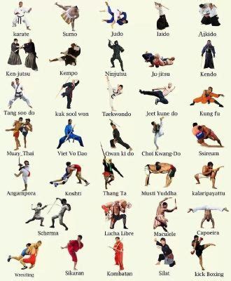 martial art  suits  quiz