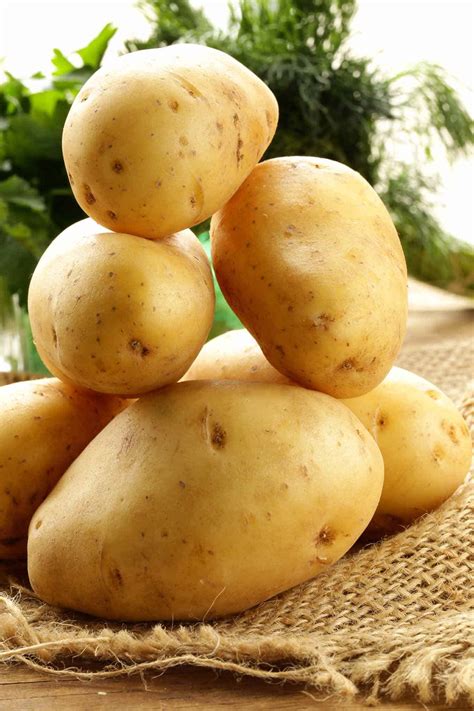 potato varieties mygourmetconnection