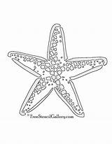 Starfish Stencil Stencils Animals sketch template