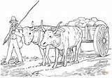 Coloring Pages Cart Oxen Ox Para Costa Carreta Rica Con Pulling Bueyes Colorear Dibujos Yoked Printable Imagen Supercoloring Agricultor Una sketch template