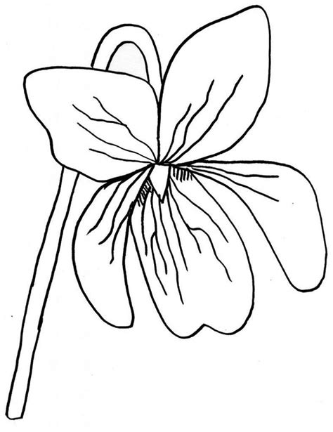 violet coloring pages  coloring pages  kids