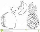 Fruits Coloring Mango Clipart Banana Illustration Preview sketch template