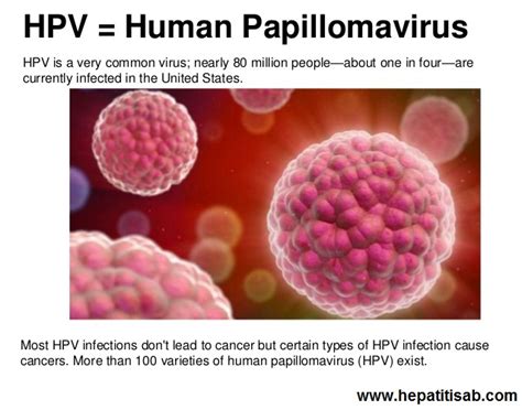 What Are The Causes Of Human Papillomavirus Hpv