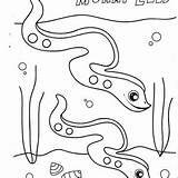 Eel Moray Eels Designlooter sketch template