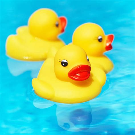 float rubber duck ducky baby bath toy  kids  pcs novelty place