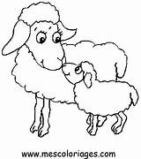 Colorat Coloriage Oi Oveja Ovejas Ovelha Mouton Animale Imagini Planse Ovelhas Ovelhinhas Pascoa Oaie Miel Desene Moutons Fise sketch template