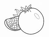 Owoc Granada Rodie Fruta Mewarnai Buah Dibujo Pomegranate Granat Granatu Colorat Kolorowanka Buahan Plansa Druku Grapefruit Kiwi Vegetable Inspirilo Fruits sketch template