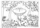 Bird Doodle Bath Birds Colouring Pages Become Member Log sketch template