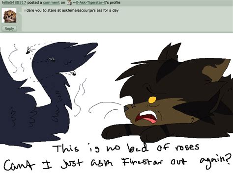 it stanks like dung dare 13 by x ask tigerstar x on