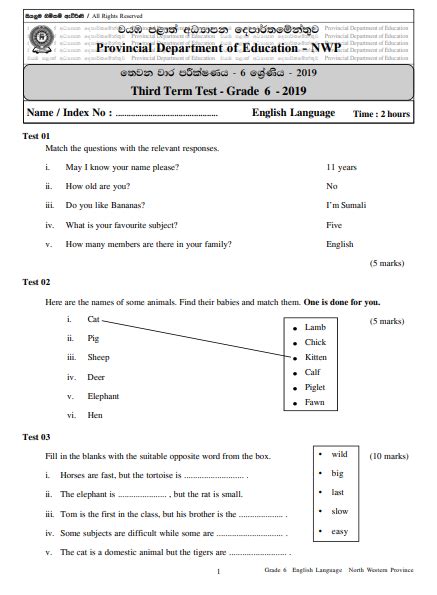 grade  english  term test paper  answers  north western